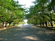 893  Ueno Park.JPG